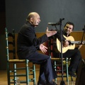 XXII Festival flamenco
