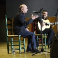 XXII Festival flamenco