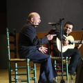 XXII Festival flamenco