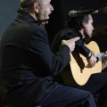 XXII Festival flamenco