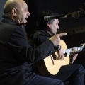 XXII Festival flamenco