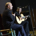 XXII Festival flamenco