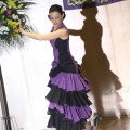 XXII Festival flamenco
