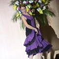 XXII Festival flamenco