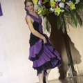 XXII Festival flamenco