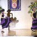 XXII Festival flamenco