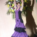 XXII Festival flamenco
