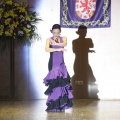 XXII Festival flamenco
