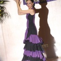XXII Festival flamenco