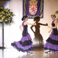 XXII Festival flamenco
