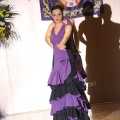 XXII Festival flamenco