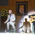 XXII Festival flamenco