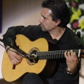 XXII Festival flamenco