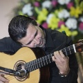 XXII Festival flamenco