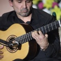 XXII Festival flamenco