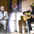 XXII Festival flamenco