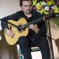 XXII Festival flamenco