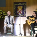 XXII Festival flamenco