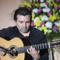 XXII Festival flamenco