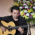 XXII Festival flamenco