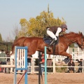 Club Hípico Mediterráneo