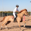 Club Hípico Mediterráneo