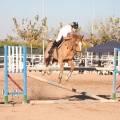 Club Hípico Mediterráneo