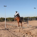 Club Hípico Mediterráneo
