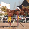 Club Hípico Mediterráneo