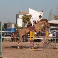 Club Hípico Mediterráneo