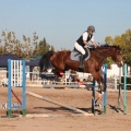Club Hípico Mediterráneo