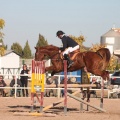 Club Hípico Mediterráneo