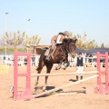 Club Hípico Mediterráneo