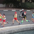 IV Maratón Ciudad de Castellón