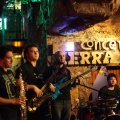 Pub Terra