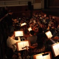 Rigoletto
