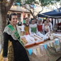 XI Fireta de Santa Llúcia