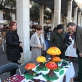 II Mercadillo Intercultural de Castellón