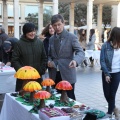II Mercadillo Intercultural de Castellón