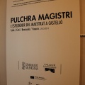 Pulchra magistri