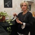 By Rosana