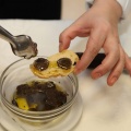 III Jornadas gastronómicas de la trufa Alt Maestrat