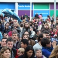 Castellón, 2014