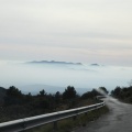 Sarratella