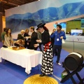 Castellón, Fitur 2014