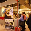 Castellón, Fitur 2014