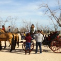 San Antonio Abad