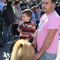 San Antonio Abad