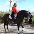 San Antonio Abad