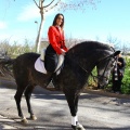 San Antonio Abad